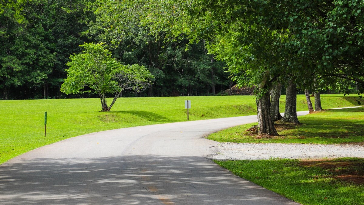    Фото: Marcus E Jones/Shutterstock/Fotodom