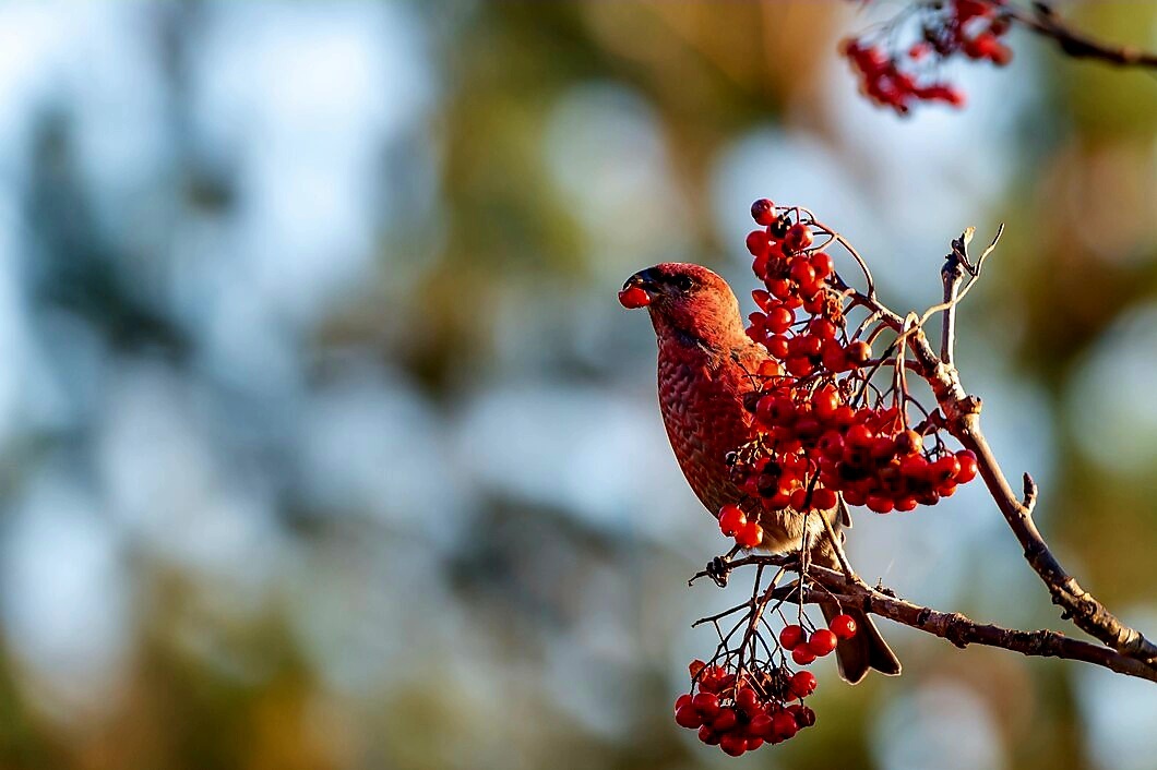 Фото с сайта: http://www.freepik.com