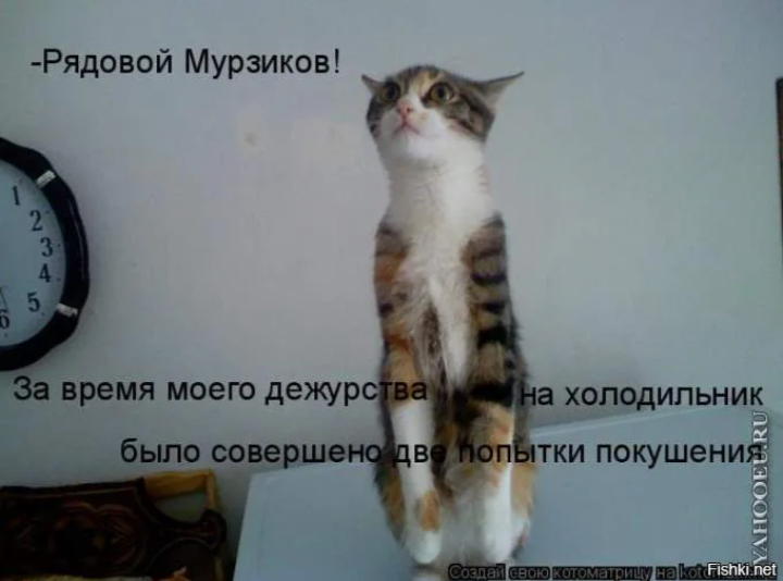 Картинка из интернета