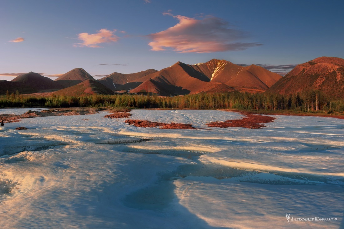 Фото: Александр Шафранов