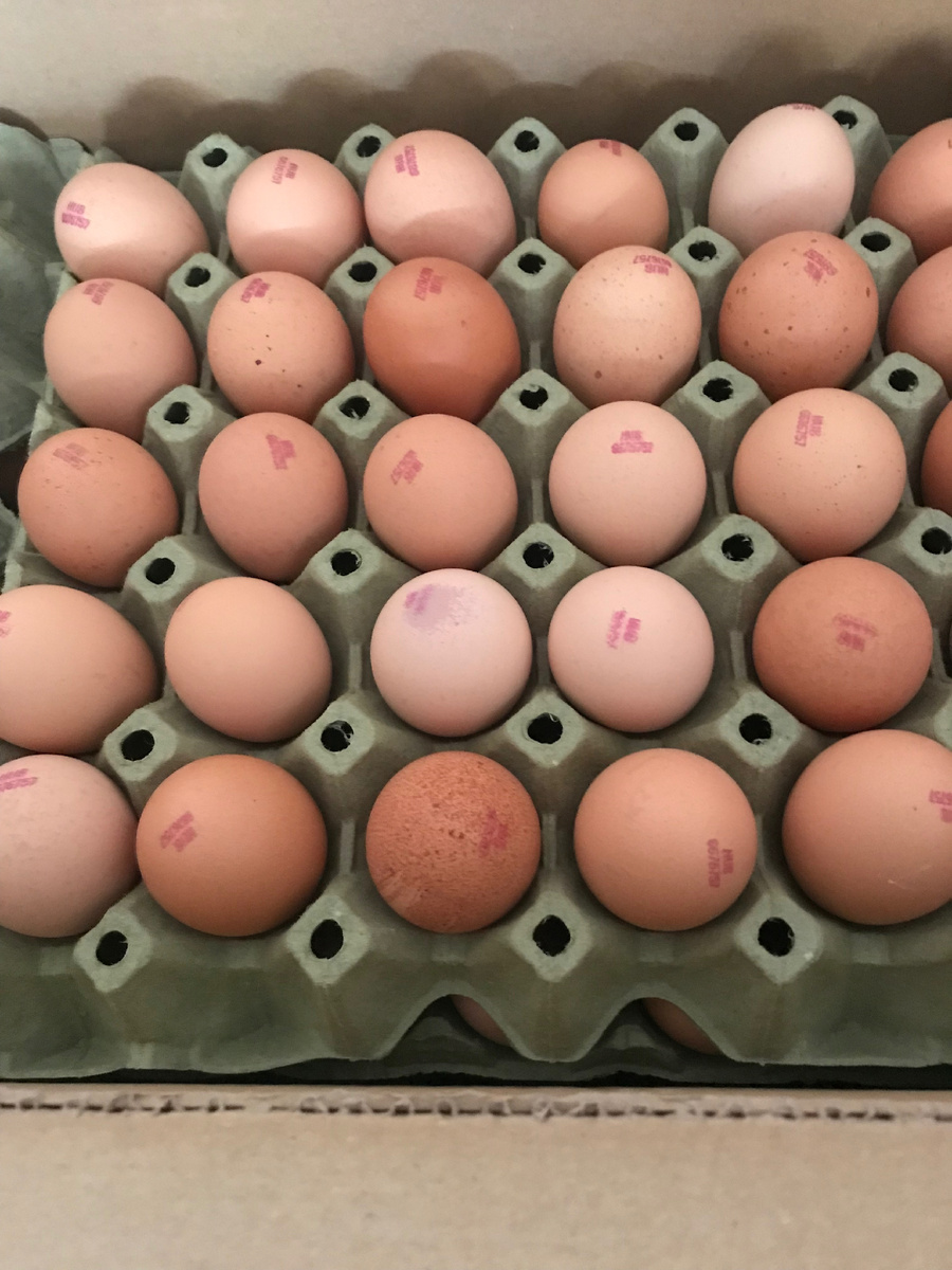 Вот такое красивое яйцо голошейки приехало ко мне