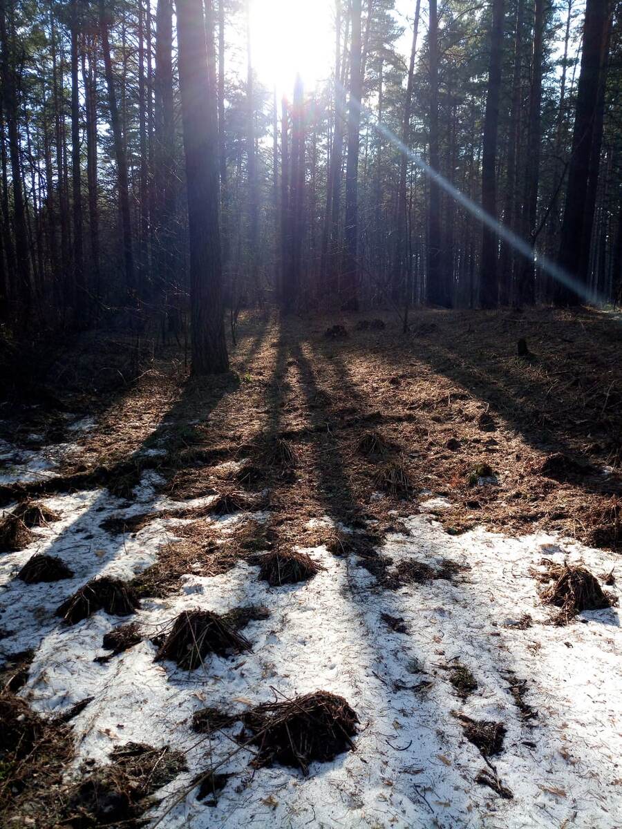 Фото из открытых источников Интернет