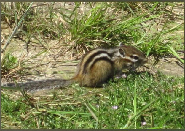 Фото из личного архива автора.