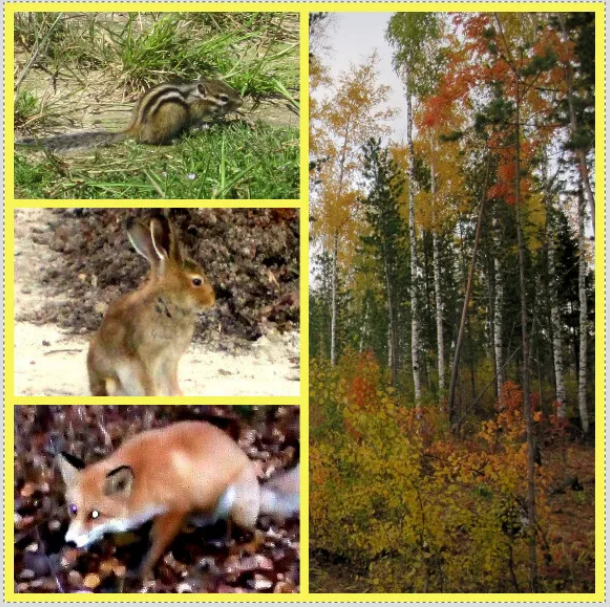 Фото из личного архива автора.