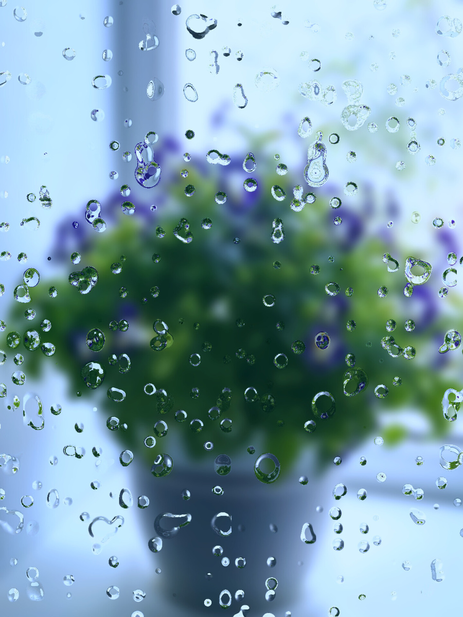 В августе было сыро, пасмурно и грустно