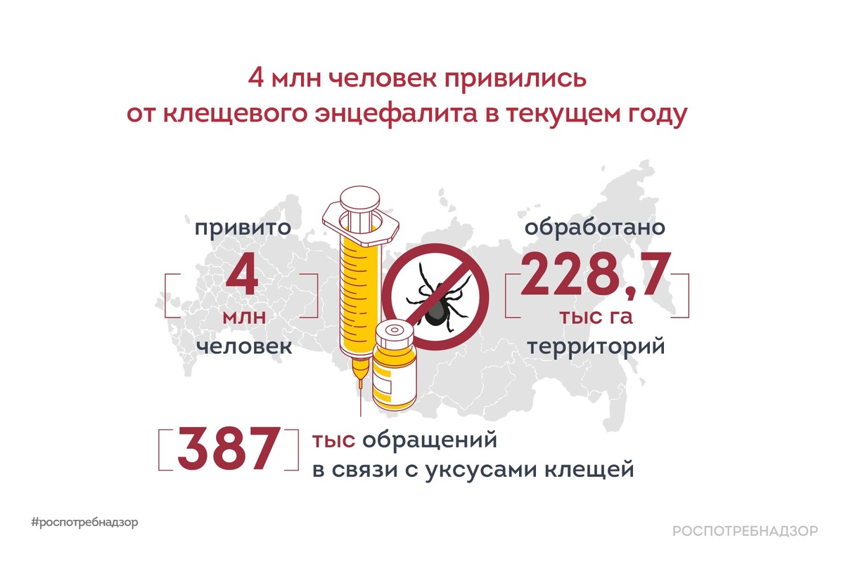 
Инфографика от Роспотребнадзора за 2024 год