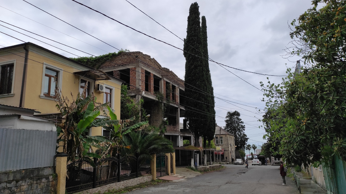 Кипарис в Гагре. Фото: Кирилл Полиенко/Polienko: путешествуем вдвоём