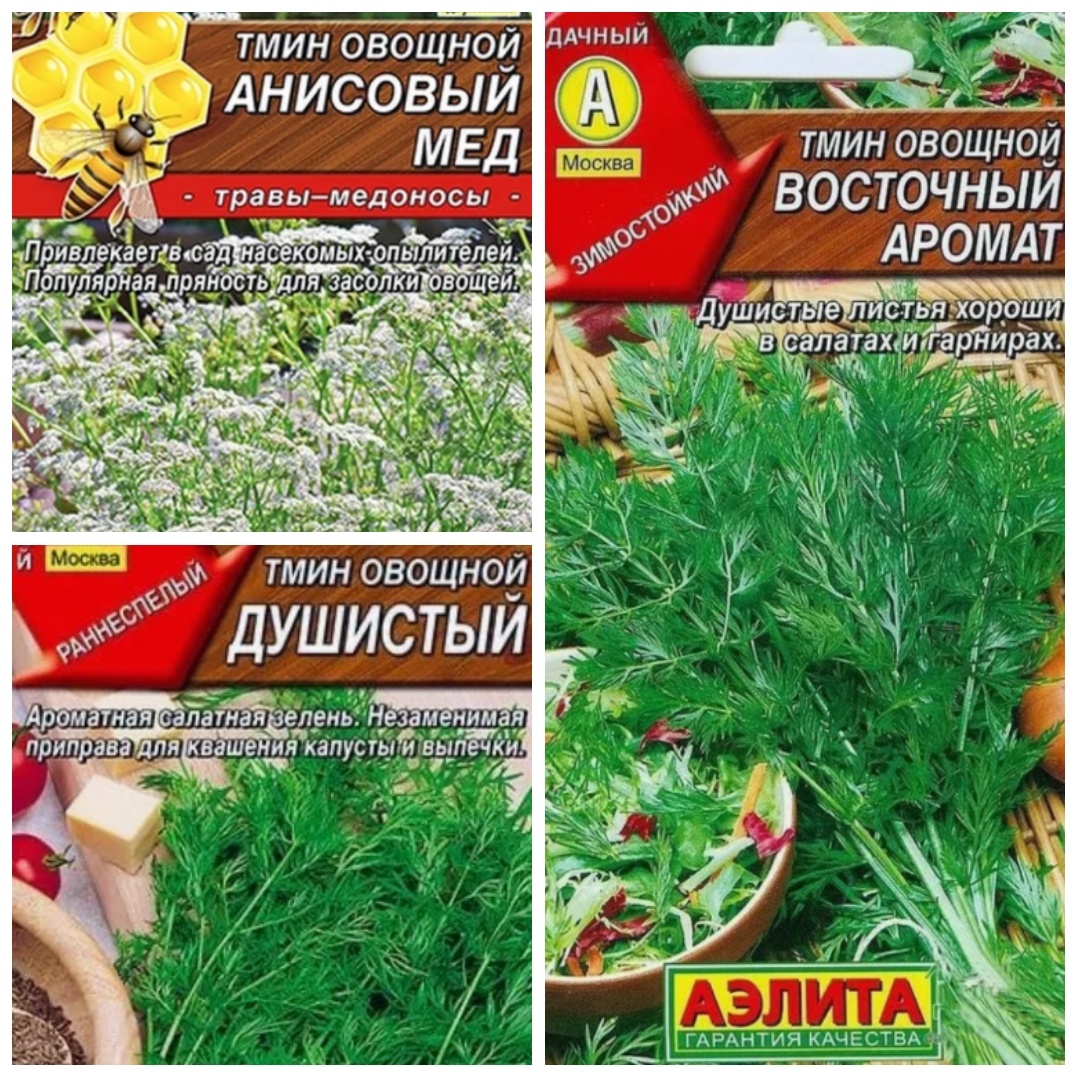 В интернете есть выбор.