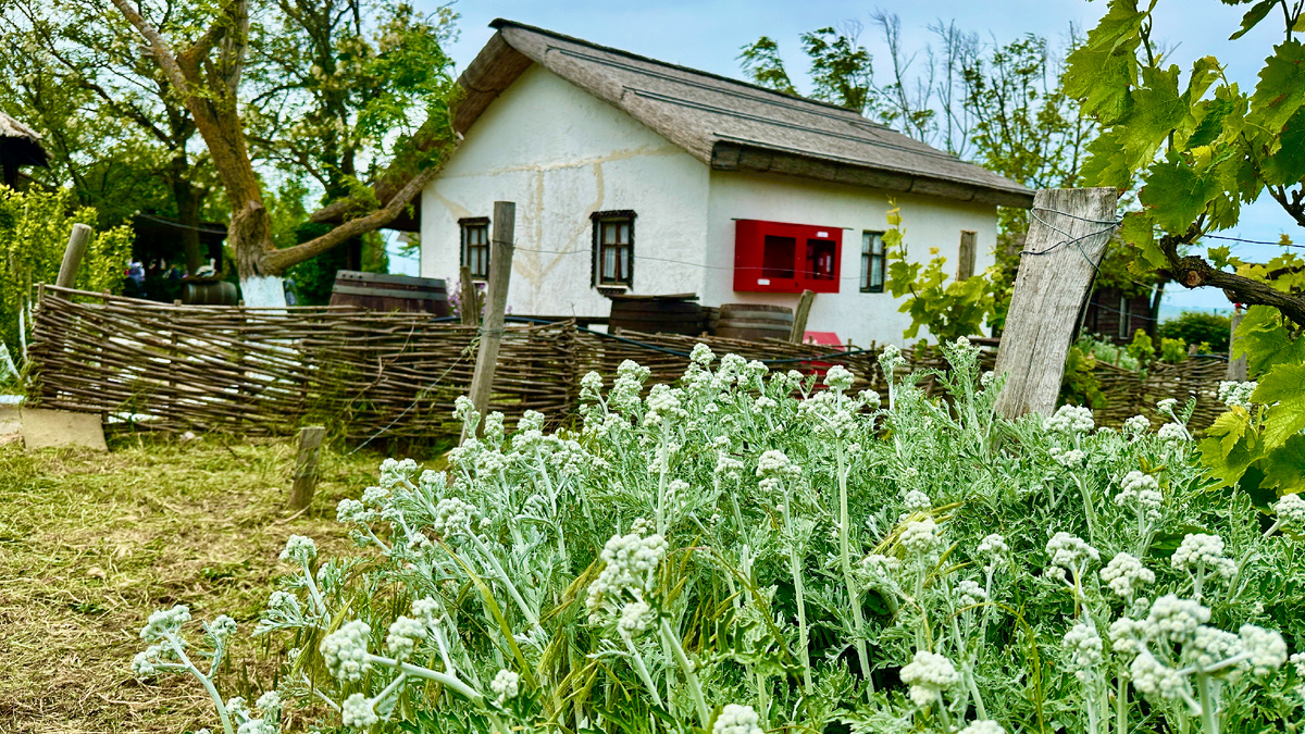 Ошибки при переезде в станицу