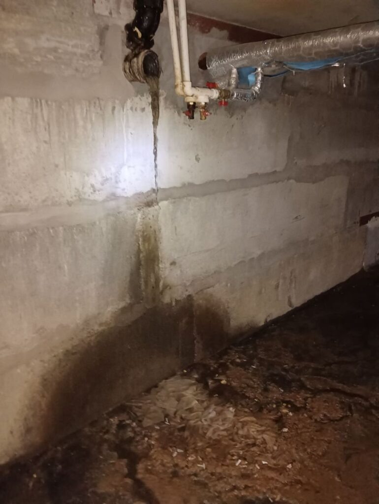    Фото: Амур.инфо