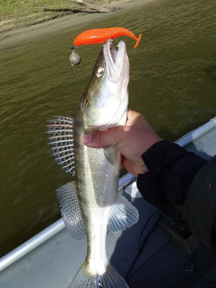 Попался,который кусался...