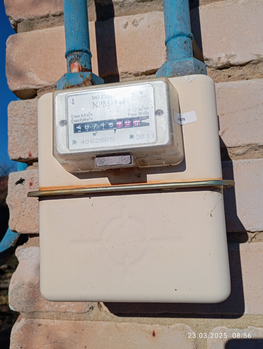 Даже муха в кадр попала! Пролетала🪰