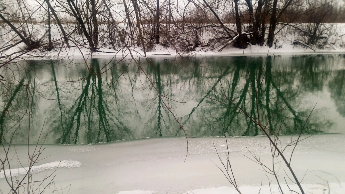     Источник: 1MI