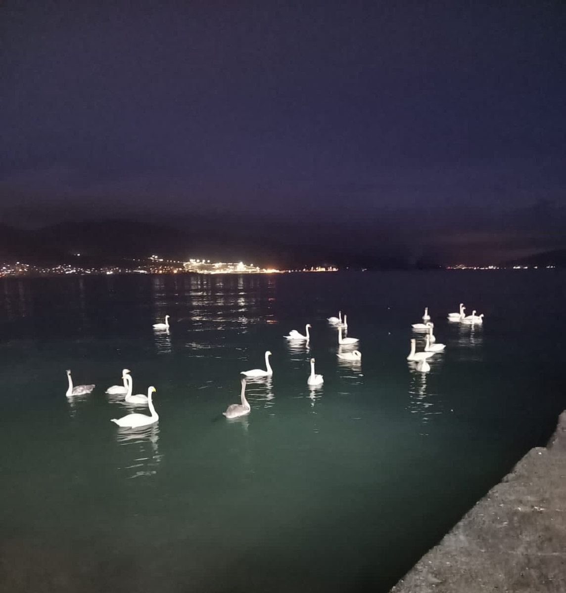 Не пьем, стали чаще просто гулять по Новороссийску.