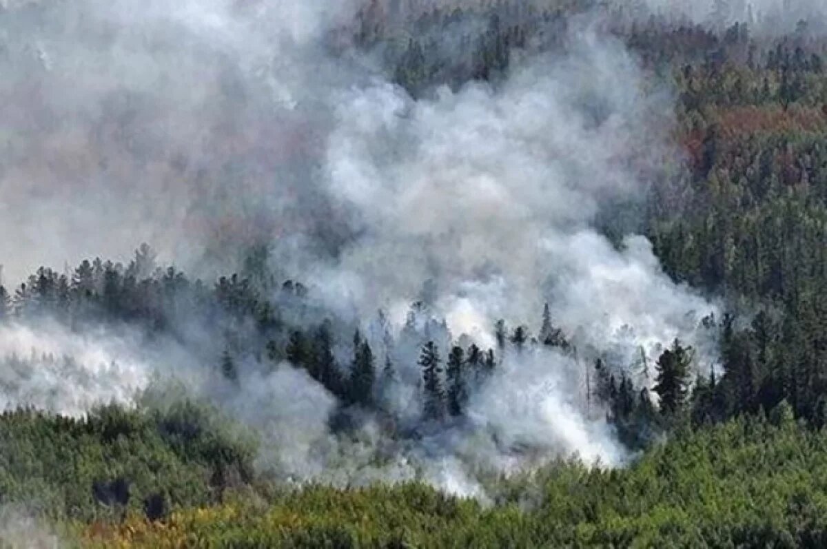    В пяти районах Красноярского края начинается пожароопасный сезон