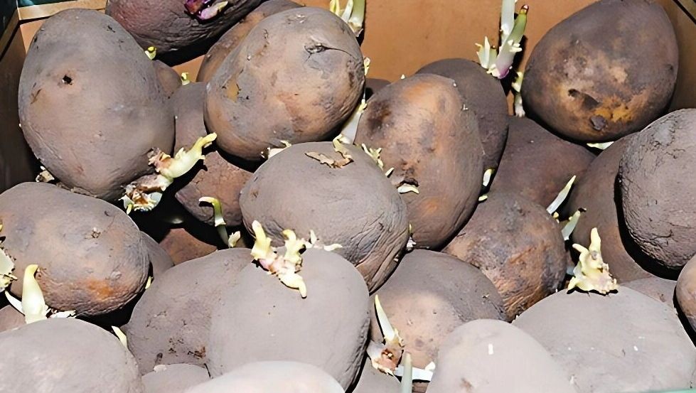     Источник: 1MI