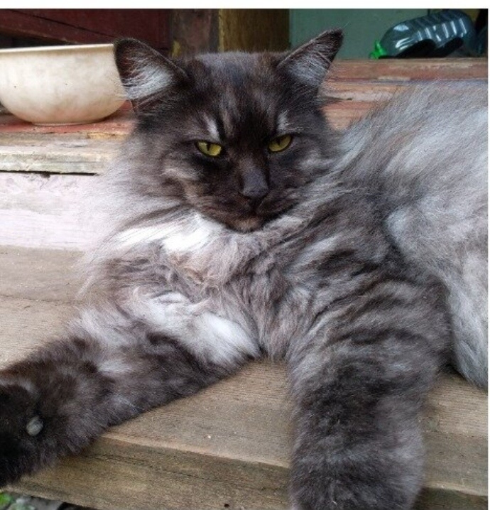 фотоальбом - листаем. Макс