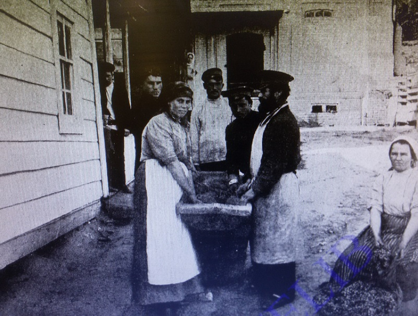 Станица Цимлянская. Ручное давление винограда в мешочках. Фотография их книги Николая Простосердова «Виноградарство и виноделие в Донской области". Из фондов Донской государственной публичной библиотеки.