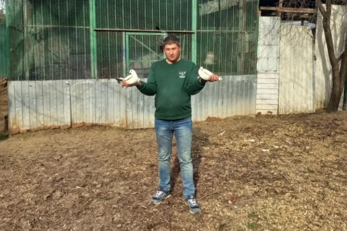    Евгений начал разводить голубей в 8 лет и в свои 38 ни капли к ним не охладел.