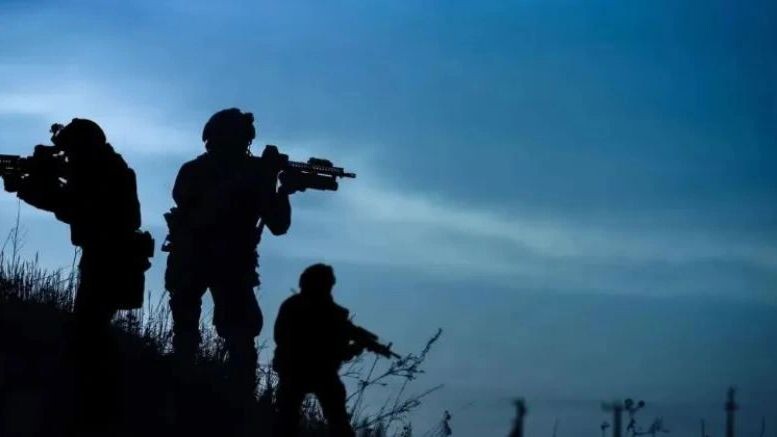    Фото: PRESSLAB/Shutterstock/Fotodom