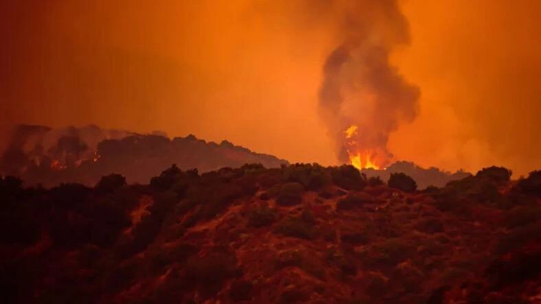    Фото: Tverdokhlib/Shutterstock/Fotodom