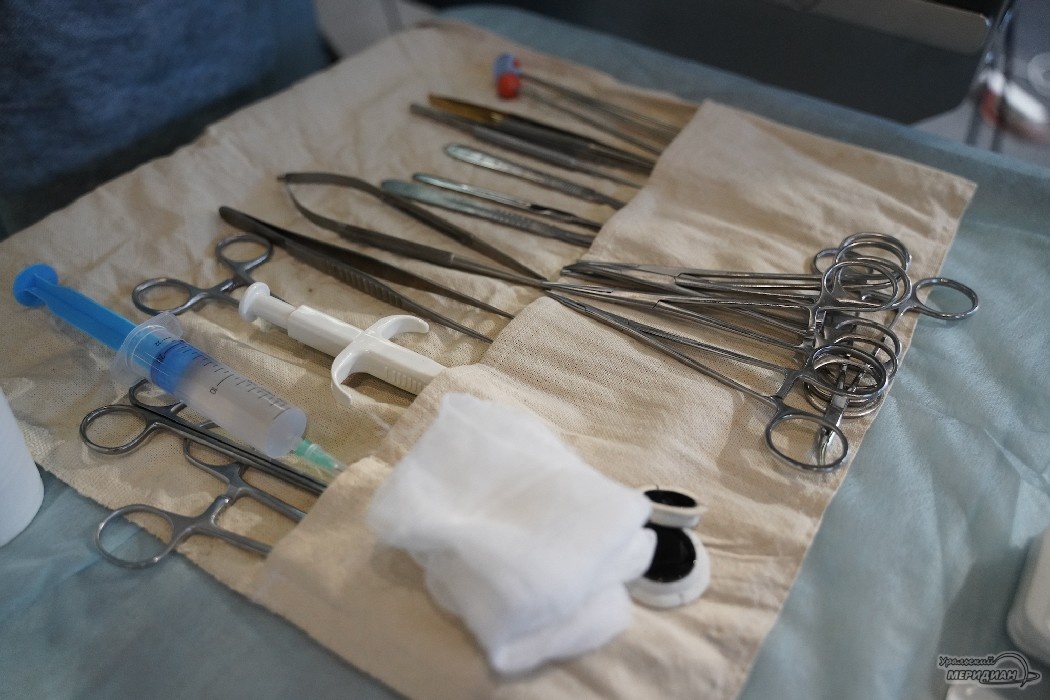    Фото: Лидия Аникина © ИА «Уральский меридиан»