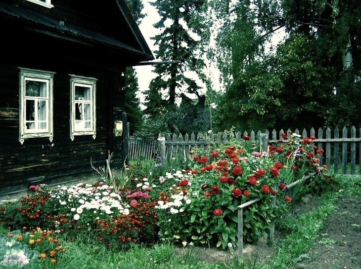 картинка из интернета