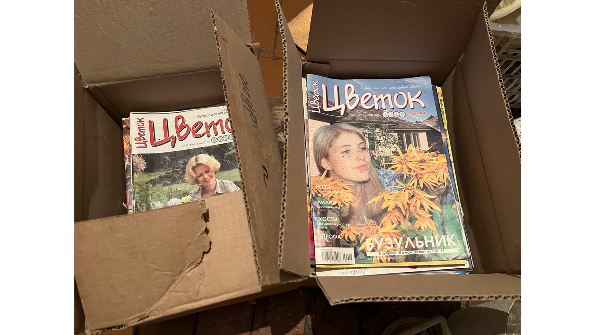 фото автора