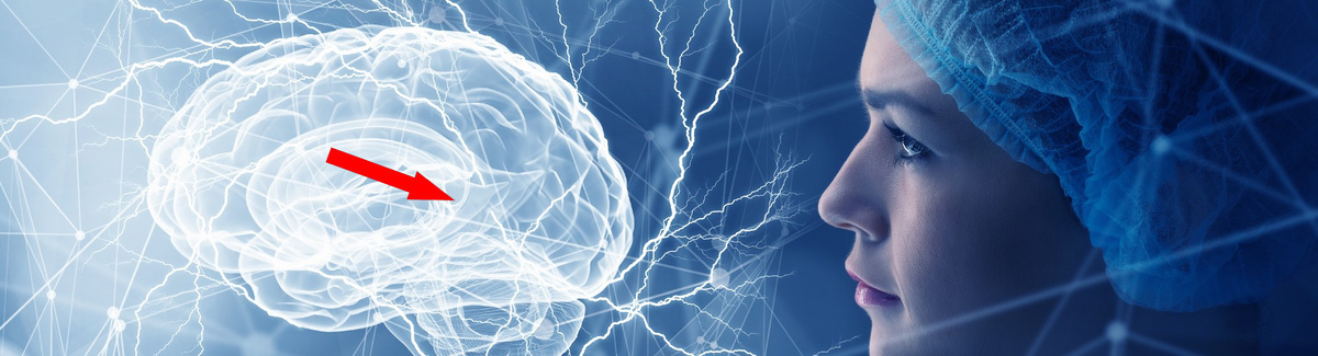    Тайна памяти: что нам рассказывают приматы?