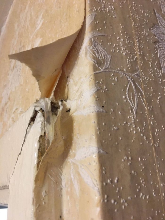    Фото: Городской Центр Дезинфекции