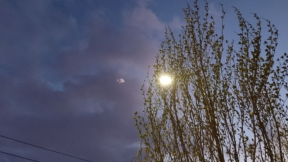    Фото: телеканал «Краснодар»