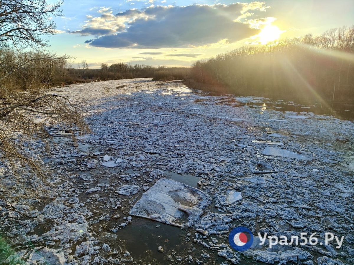    Уровень воды в реке Сакмара в районе Татарской Каргалы вчера резко поднялся, а сегодня также резко упал