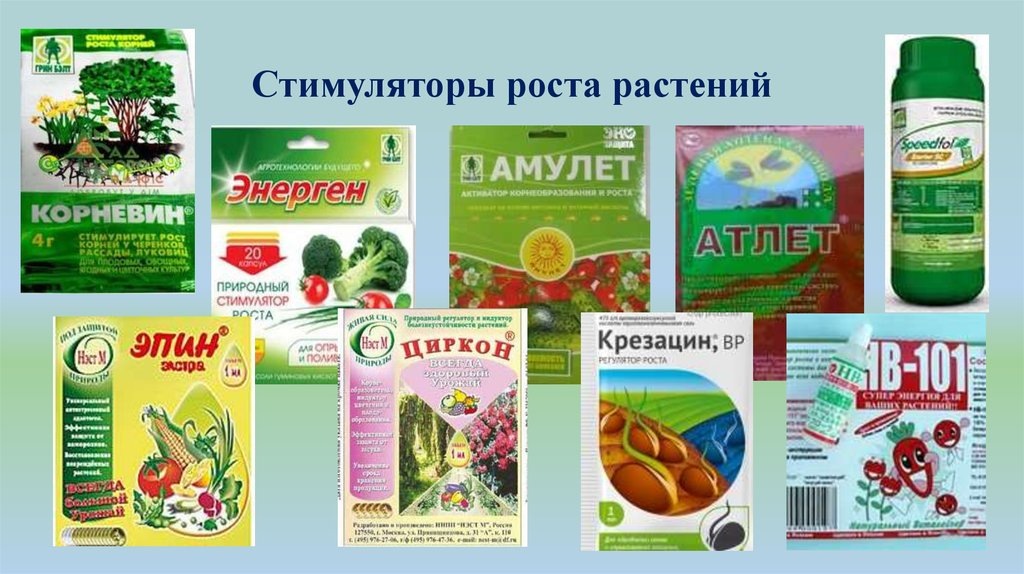 Уверена, что некоторыми из них вы уже пользовались