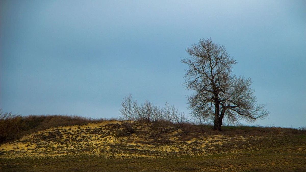    Над Саратовской областью сбили БПЛА ночью 23 мартаНовости Саратова и области – Сетевое издание «Репортер64»