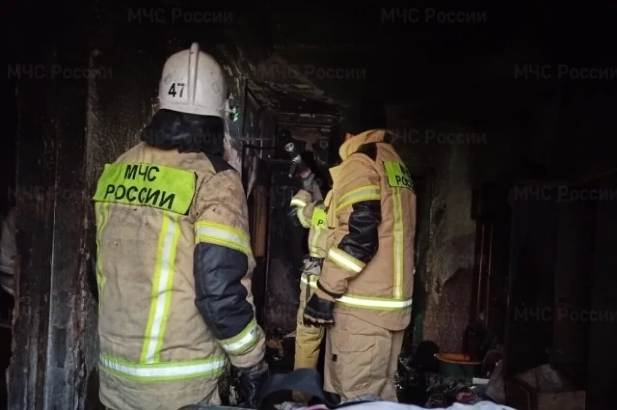    17 пожаров ликвидировали за сутки на Среднем Урале, погиб один человек