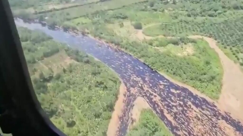    Фото: соцсети