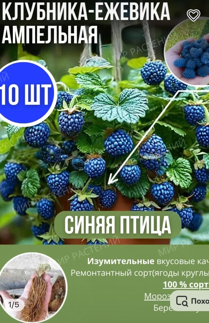 Скриншот с Вайлдберриз.