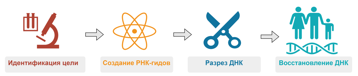 рисунок автора
