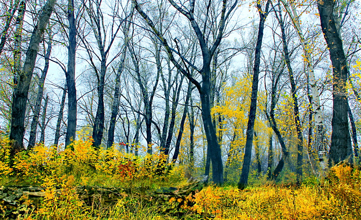 Фотография, стихотворение Василия Глуцкого