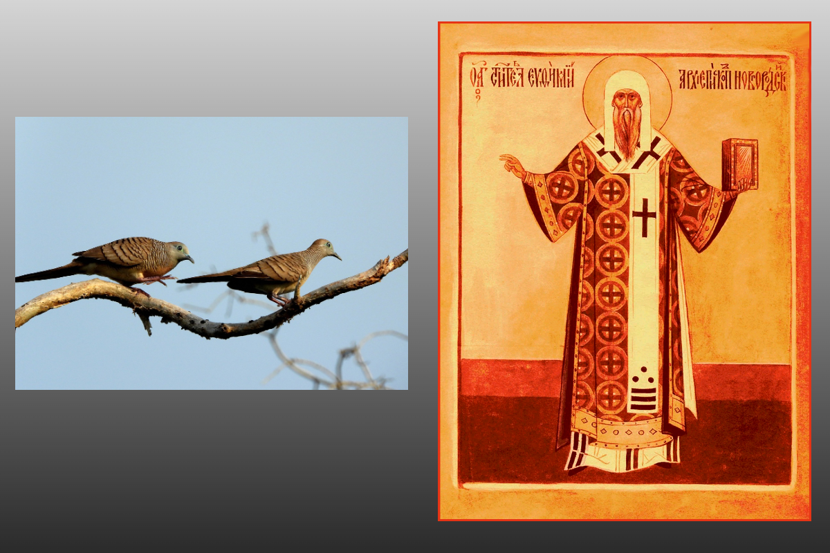 Икона святитель Евфимий, архиепископ Новгородский/azbuka.ru, Кукушка/pixabay.com