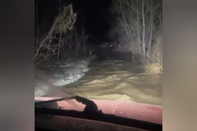    Не проехали. В Оренбургском районе в бушующем потоке разлива застряли два автомобиля Андрей Севостьянов