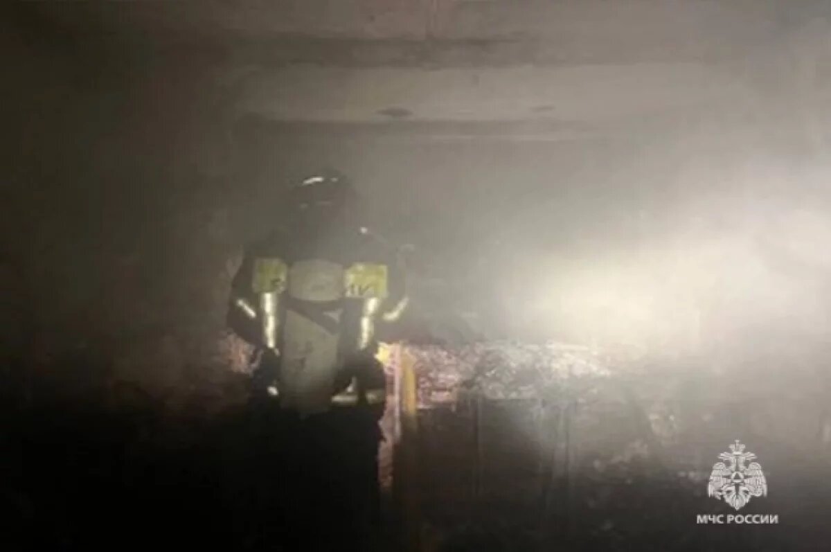    В Тульской области за сутки спасатели потушили два пожара