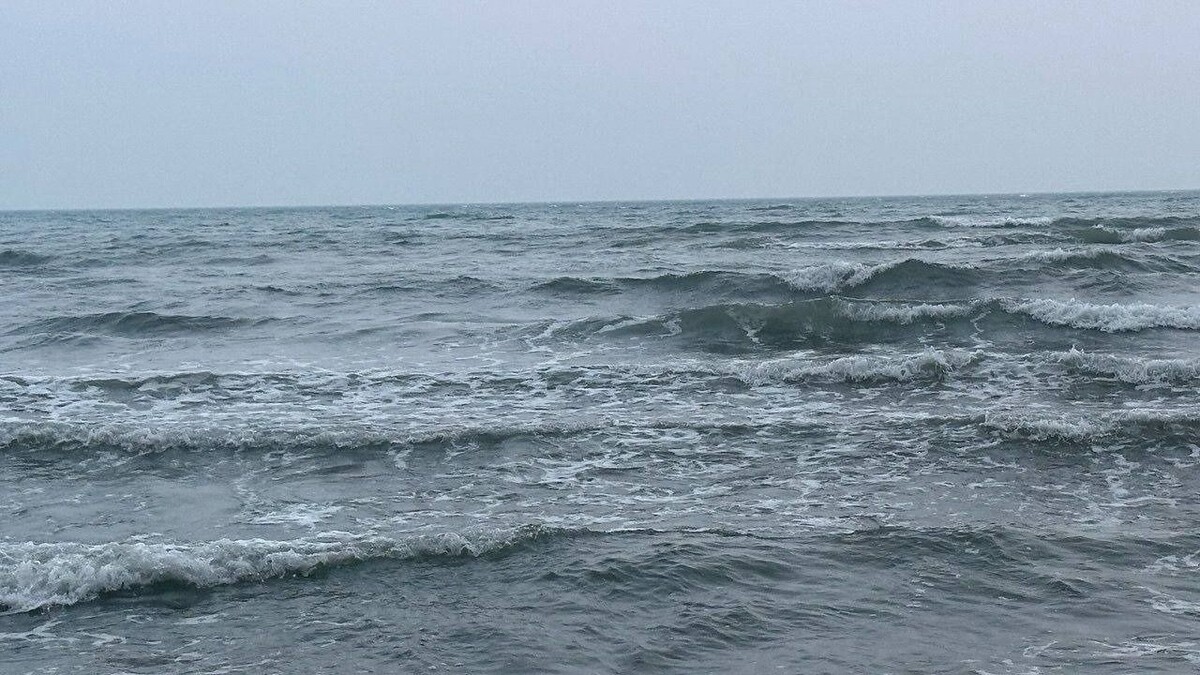     Источник: vmfareast