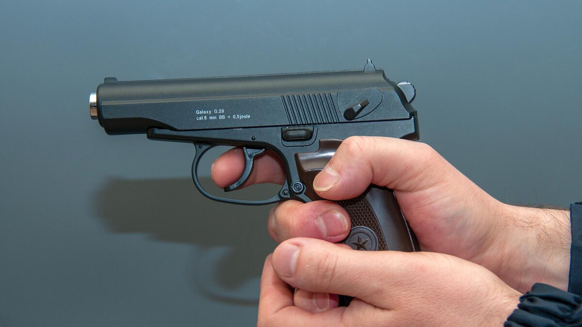    Фото: Svetlana Vozmilova/globallookpress.com