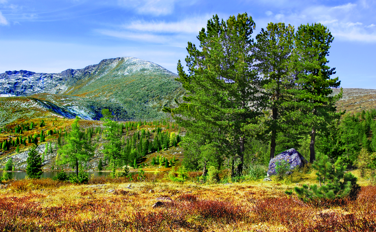 Фотография, стихотворение Василия Глуцкого