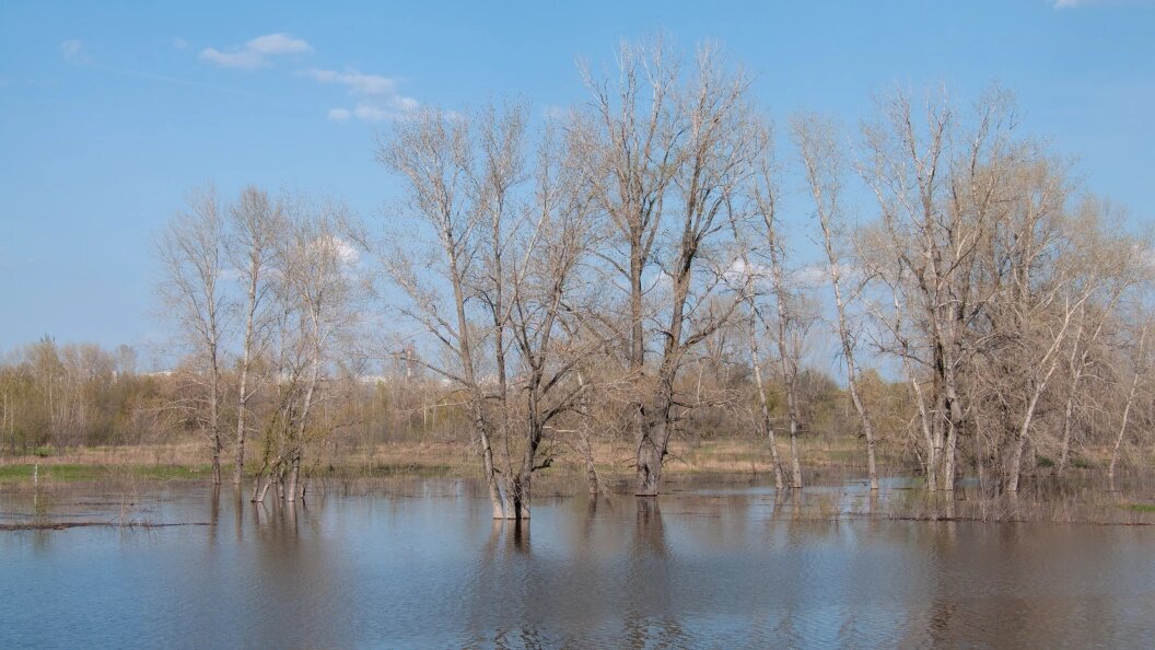    Светлана Возмилова/Global Look Press