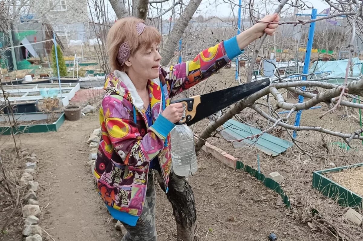    На даче самое время проводить обрезку – пока не началось соко­движение.