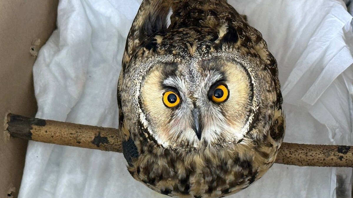    Фото: телеканал «Краснодар»