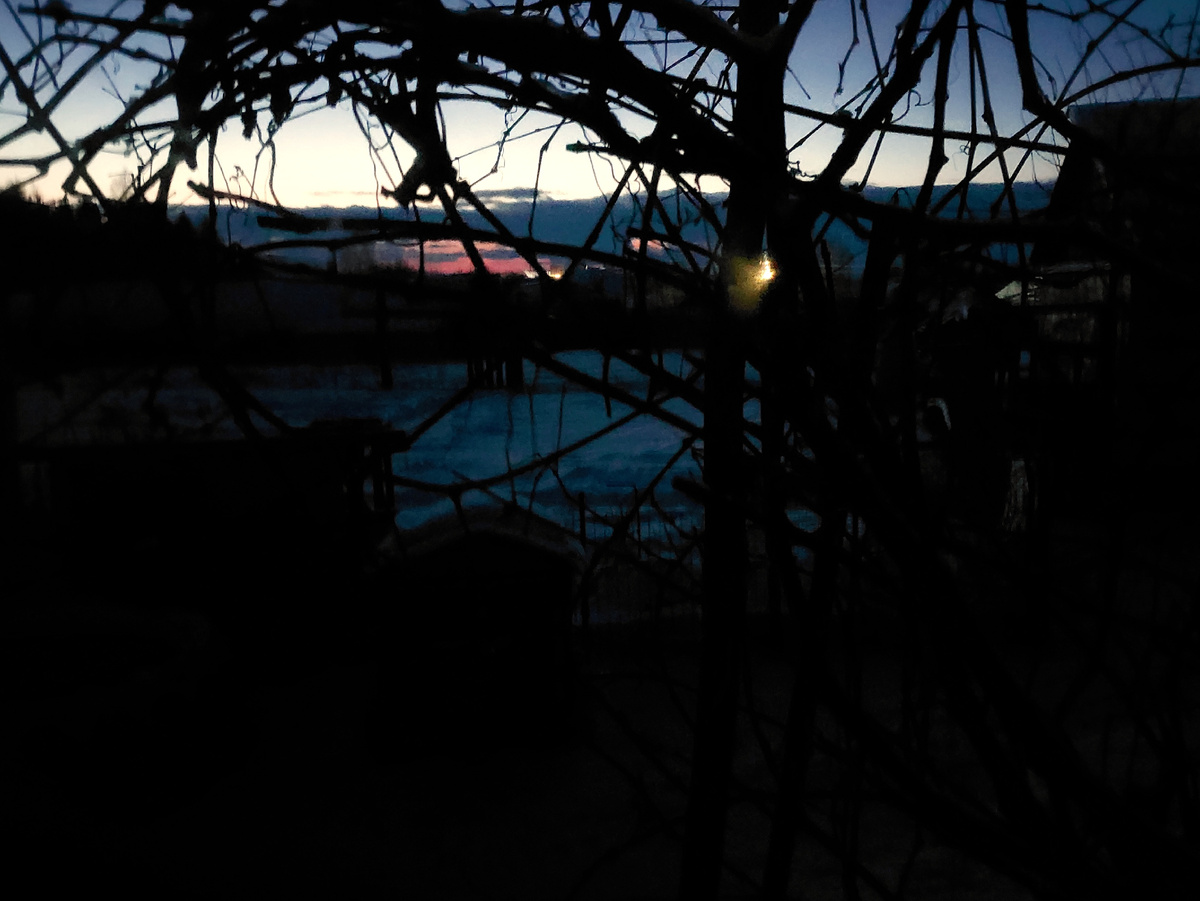 Сегодня утром