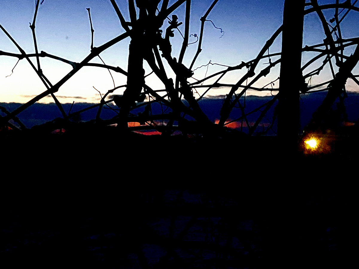 Это первое, что я увидела